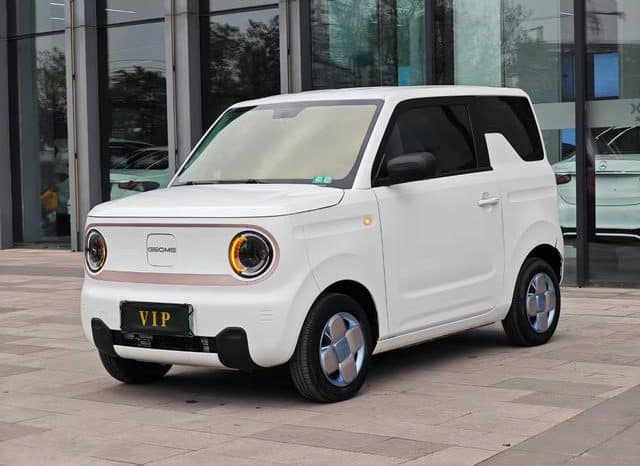 67ceac91e1373 Geely Panda, 2023