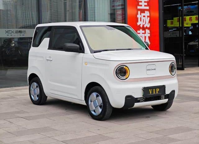 
								Geely Panda, 2023 full									