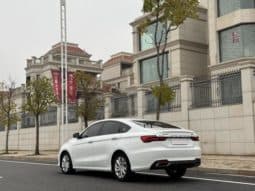 
										Geely Binrui, 2021 full									