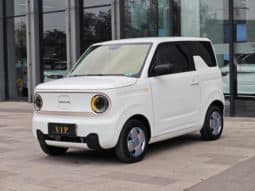 
										Geely Panda, 2023 full									