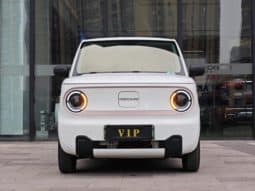 
										Geely Panda, 2023 full									