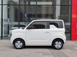 
										Geely Panda, 2023 full									