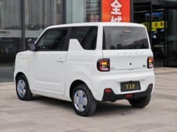 
										Geely Panda, 2023 full									