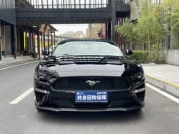 
										Ford Mustang (VI), 2021 full									