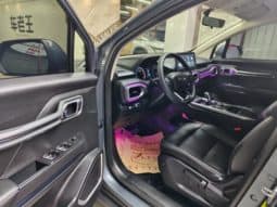 
										Geely Okavango (I), 2021 full									