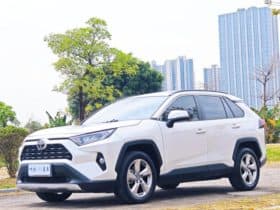 Toyota RAV4 (IV), 2020