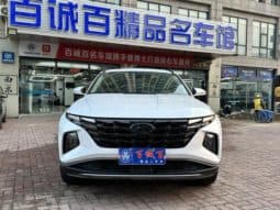 
										Hyundai Tucson (III), 2023 full									