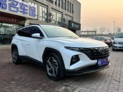 
										Hyundai Tucson (III), 2023 full									