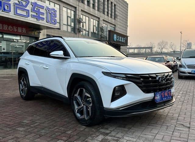 
								Hyundai Tucson (III), 2023 full									