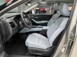 
										Nissan X-Trail (III), 2023 full									