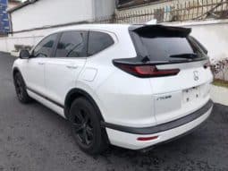 
										Honda Breeze (I), 2020 full									