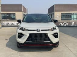
										Toyota Wildlander, 2021 full									