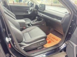 
										Honda Breeze (I), 2024 full									