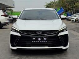 
										Geely Binrui, 2022 full									