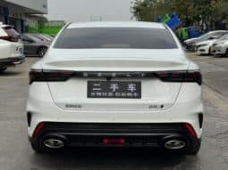 
										Geely Binrui, 2022 full									