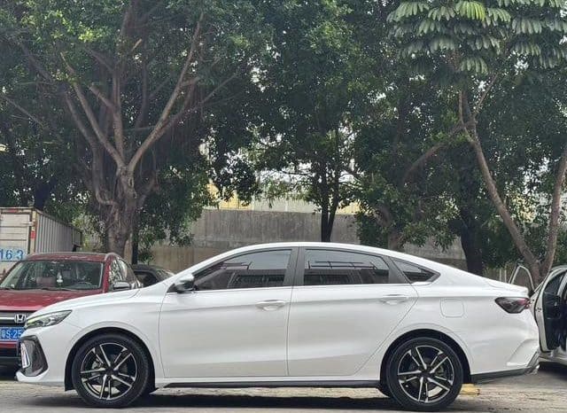 
								Geely Binrui, 2022 full									