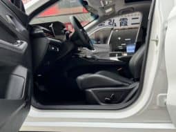 
										Geely Binrui, 2022 full									