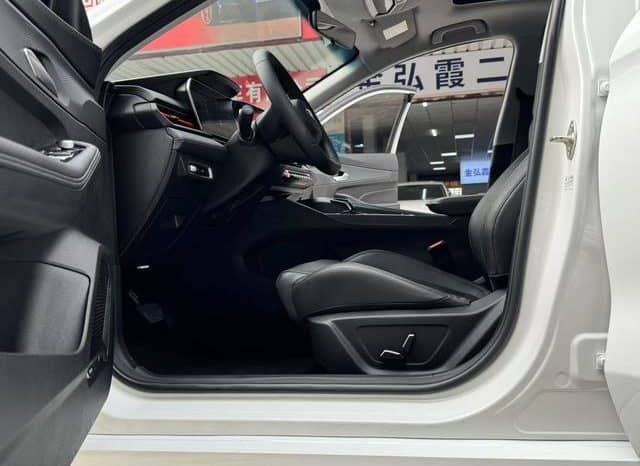 
								Geely Binrui, 2022 full									