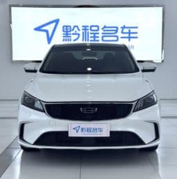 
										Geely Binrui, 2022 full									