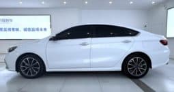 
										Geely Binrui, 2022 full									