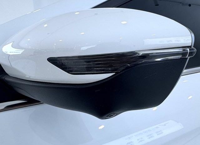 
								Geely Binrui, 2022 full									