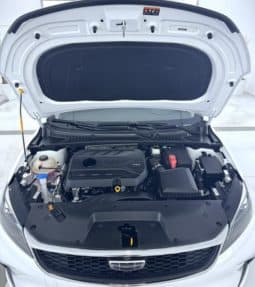 
										Geely Binrui, 2022 full									