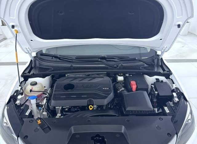 
								Geely Binrui, 2022 full									