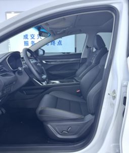 
										Geely Binrui, 2022 full									