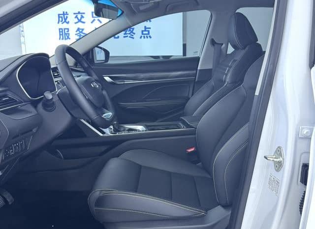 
								Geely Binrui, 2022 full									
