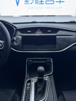 
										Geely Binrui, 2022 full									