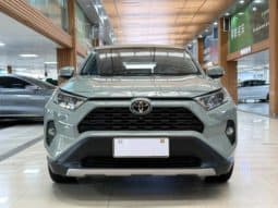 
										Toyota RAV4 (IV), 2020 full									
