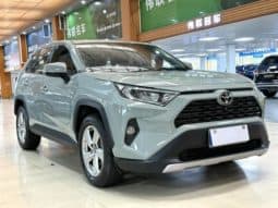 
										Toyota RAV4 (IV), 2020 full									
