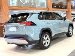 
										Toyota RAV4 (IV), 2020 full									