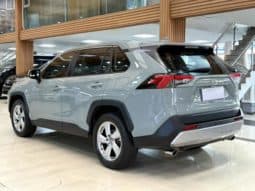 
										Toyota RAV4 (IV), 2020 full									