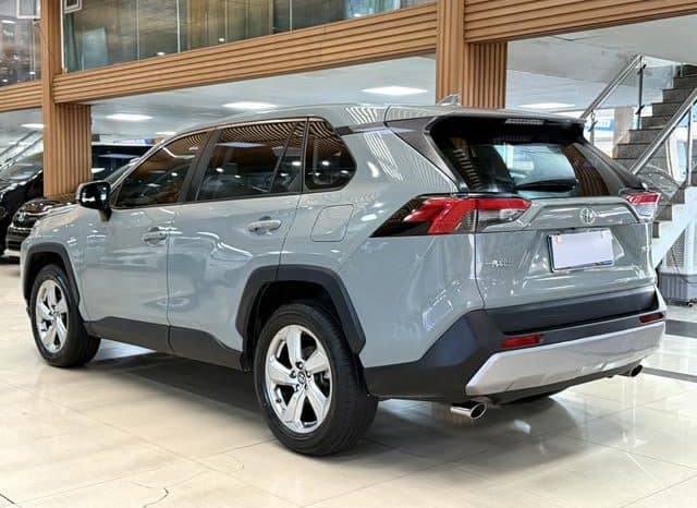 
								Toyota RAV4 (IV), 2020 full									