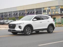
										Hyundai Tucson (III), 2021 full									