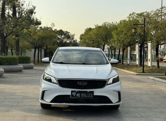 
								Geely Binrui, 2021 full									