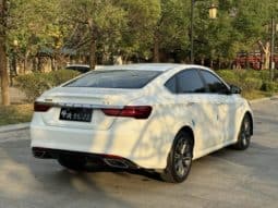 
										Geely Binrui, 2021 full									