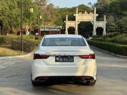 
										Geely Binrui, 2021 full									