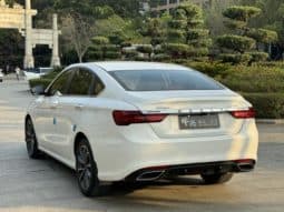 
										Geely Binrui, 2021 full									