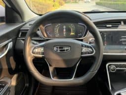 
										Geely Binrui, 2021 full									