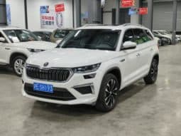 Skoda Kodiaq, 2024