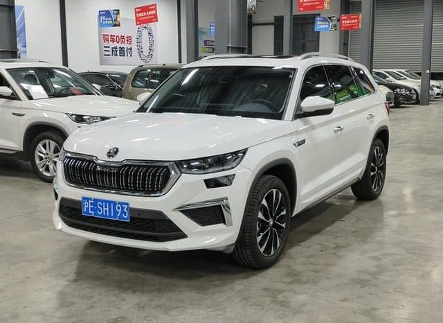 67d28c9743cc5 Skoda Kodiaq, 2024