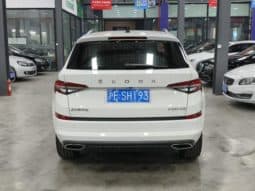 
										Skoda Kodiaq, 2024 full									