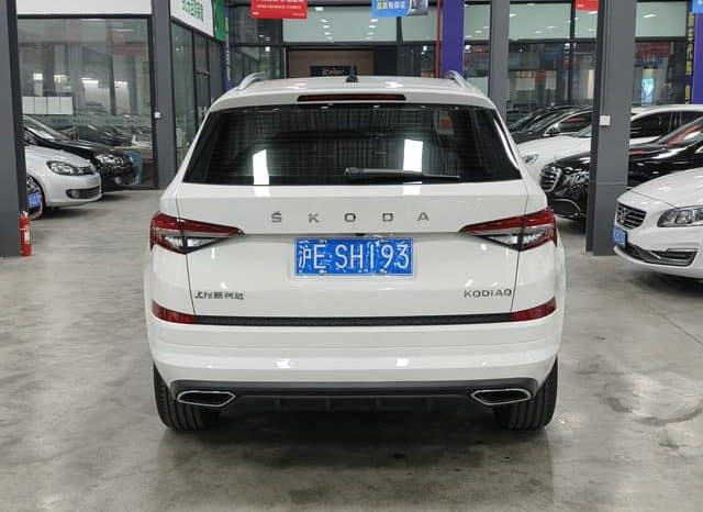
								Skoda Kodiaq, 2024 full									