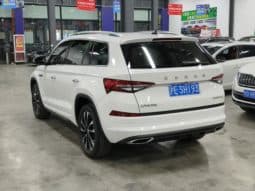 
										Skoda Kodiaq, 2024 full									