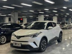 67d292011d457 Toyota IZOA, 2021