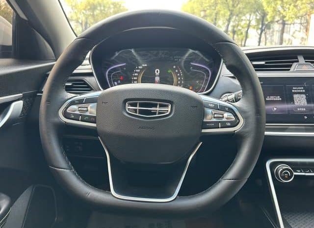 
								Geely Binrui, 2021 full									