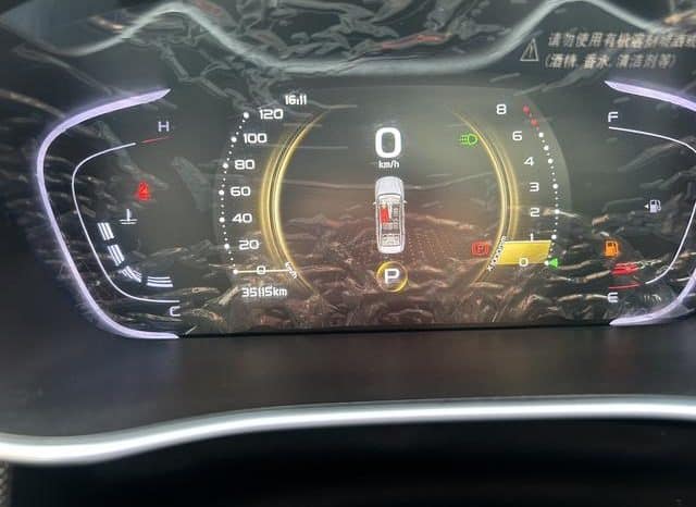
								Geely Binrui, 2021 full									