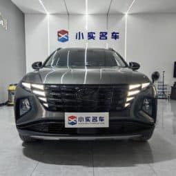
										Hyundai Tucson (III), 2023 full									